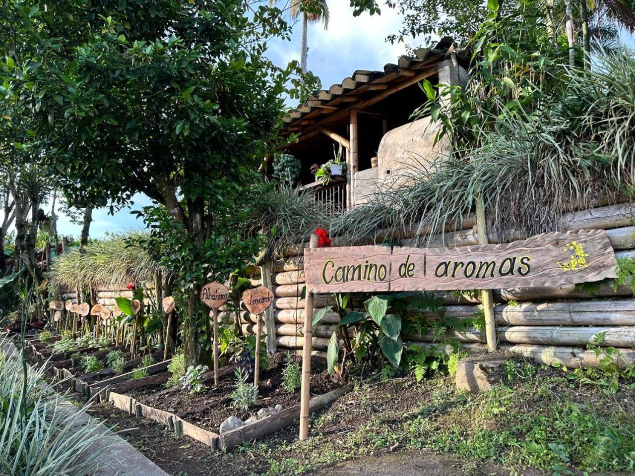 Bed and Breakfast El Refugio Del Colibri à Santa Rosa de Cabal Extérieur photo